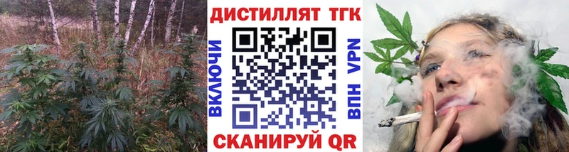 купить наркотики цена  Сретенск  ТГК гашишное масло 