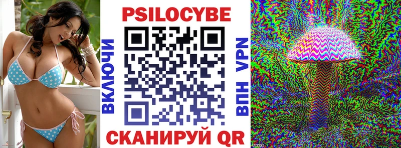 Галлюциногенные грибы Psilocybe  купить закладку  Сретенск 