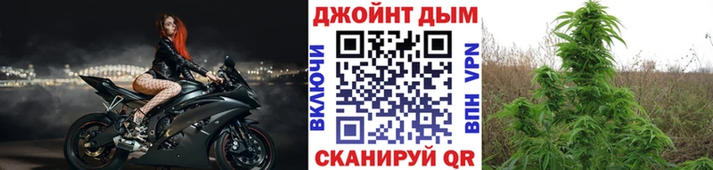 Конопля семена  ссылка на мегу как войти  Сретенск 